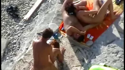 Brezilya arapseksporno ton balığı GB