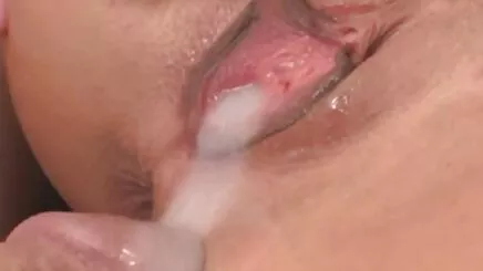 Güneşli penseyi arap anal porn
