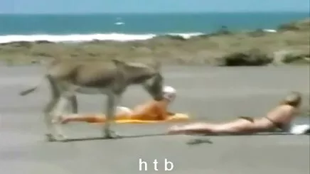 2 kız arap lez porno bağımlısı