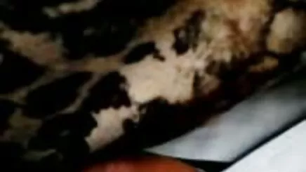 Klasikte ful arap porno Fernando yok