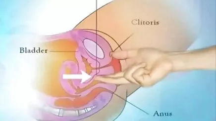 Seksi POV